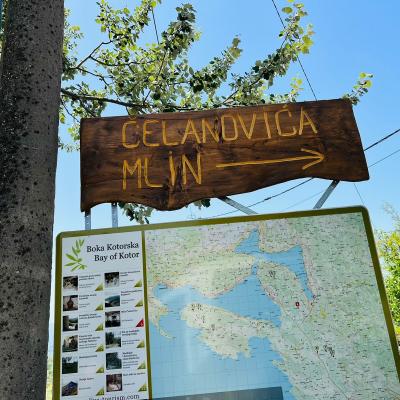 Olive Mill Celanovic
