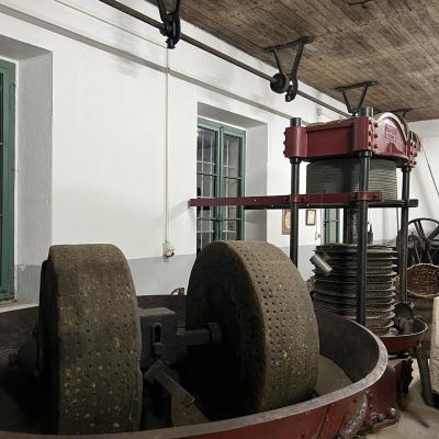 Olive Mill Celanovic Kavac Kotor