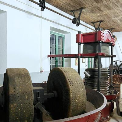 Olive Mill Celanovic
